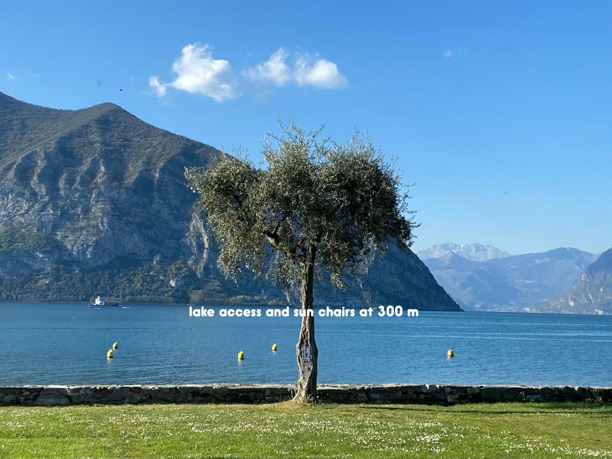 Holiday Home Punta D'Oro With Garden, Parking Place And Lake Access At 300 M Iseo Exterior foto